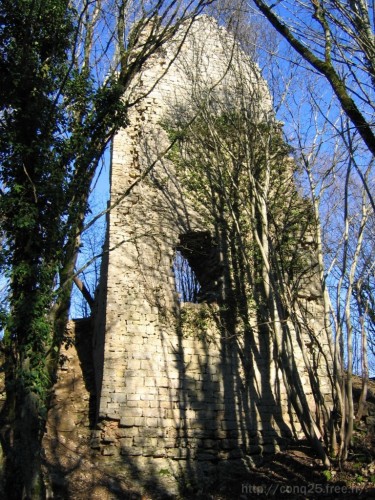 CHâTEAU DE VAITE