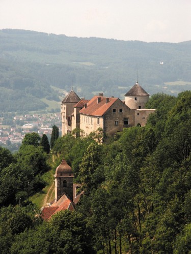 CHâTEAU DE BELVOIR