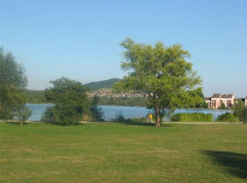 LAC DE VESOUL - VAIVRE