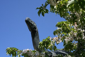 MUSéE D'ARCHéOLOGIE DU JURA