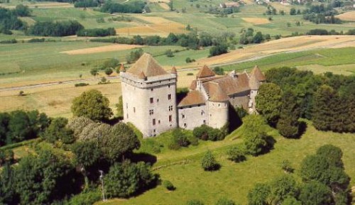 CHâTEAU FORT DU PIN