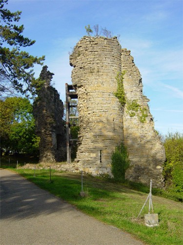 CHâTEAU DE CHâTEAU-CHALON